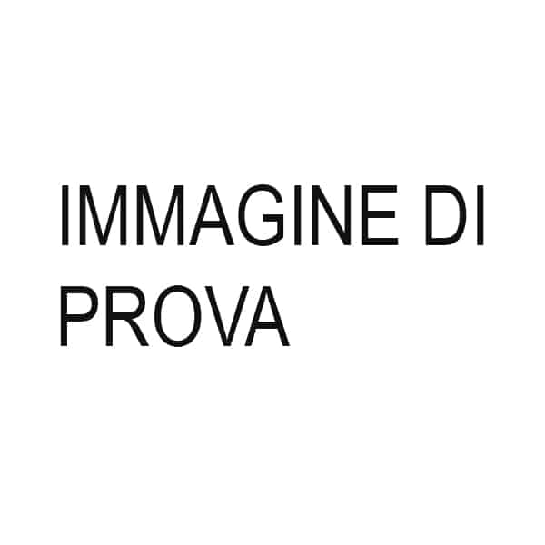 Anelli-di-tenuta-lip-seals-g